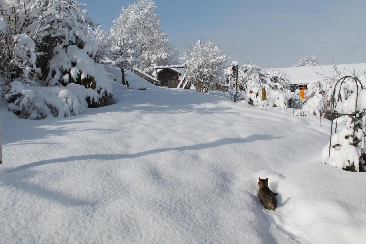 Gaestehaus Fidelis Grafenwiesen ภายนอก รูปภาพ